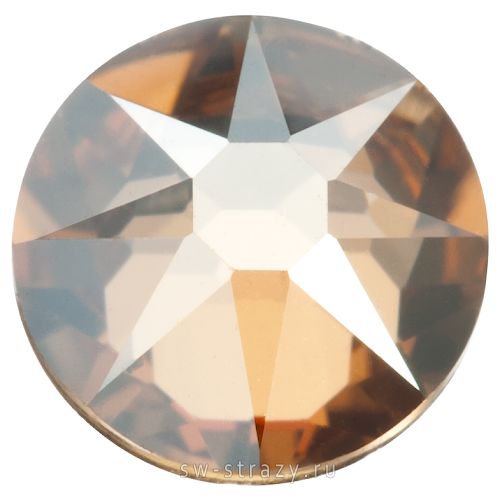 2058 ss 5 Crystal Golden Shadow F